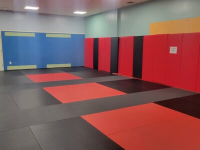 FreeFall MMA