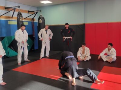 FreeFall MMA
