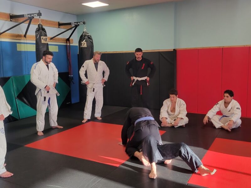 FreeFall MMA