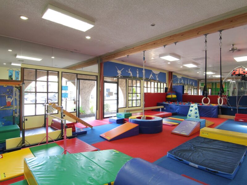 June Bug's Gym