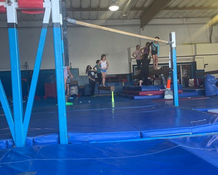 Santa Cruz Gymnastics