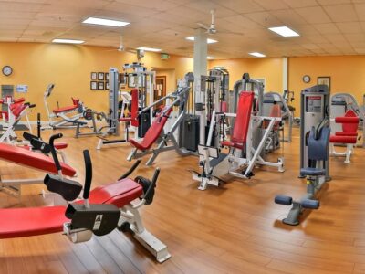 Toadal Fitness Live Oak