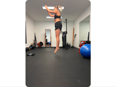 Santa Cruz Biomechanics