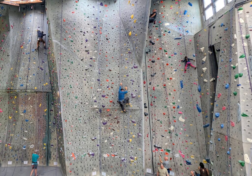 Climbers on the tall indoor rope walls at Pacific Edge
