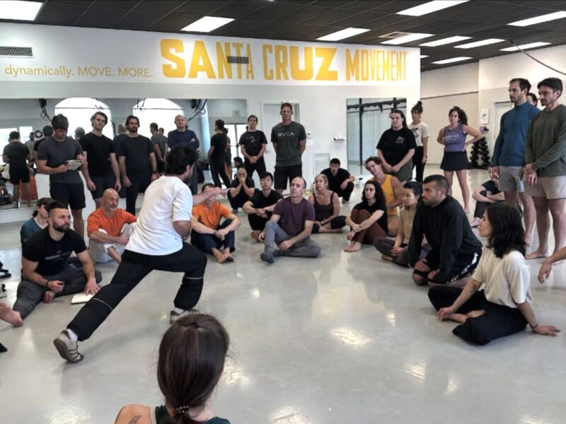 Santa Cruz Movement