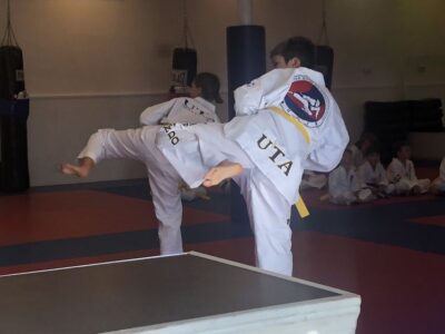 Choi's Taekwondo