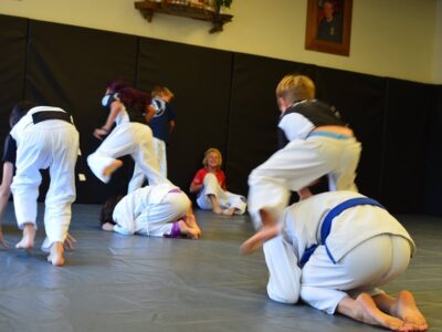 Gracie Jiu Jitsu Santa Cruz