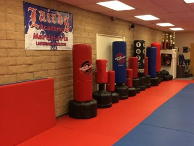 Laird's Academy of Martial Arts