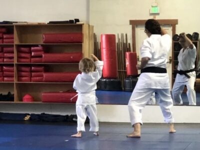 Sanfords Martial Arts