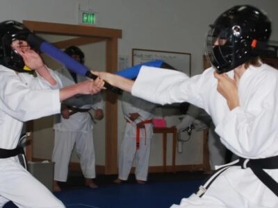 Sanfords Martial Arts