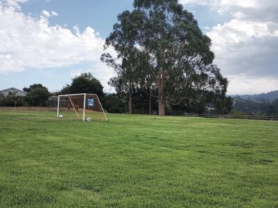 Anna Jean Cummings Fields